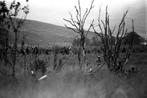 Willihiman-Wallalua warriors attack the Wittaia warriors, seen beyond in the middle ground; taken from behind trees