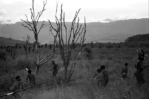 Willihiman-Wallalua warriors preparing to attack the Wittaia warriors, seen beyond in the middle ground