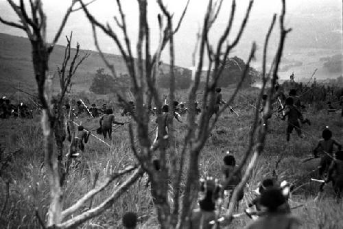 Willihiman-Wallalua warriors attack the Wittaia warriors, seen beyond in the middle ground; from behind a tree