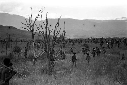 Many Willihiman-Wallalua warriors attack the Wittaia warriors, seen beyond in the middle ground