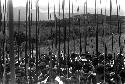 Large group of warriors with spears at the northern knoll of the Warabara