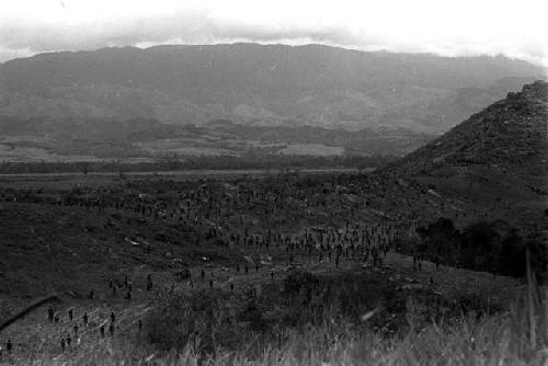 Distant shot of many warriors engaged in battle on the Warabara