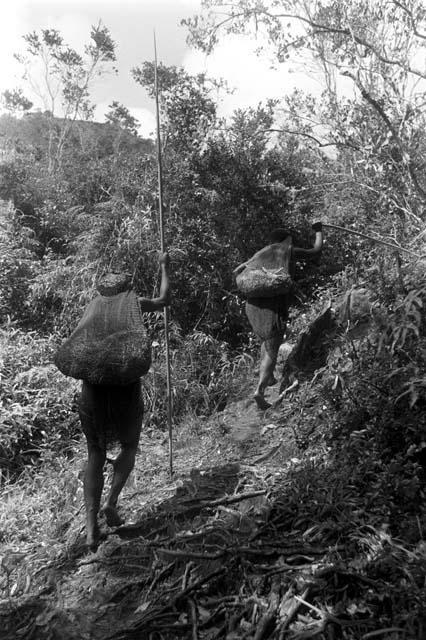 Women with loads on the path to Lokoparek