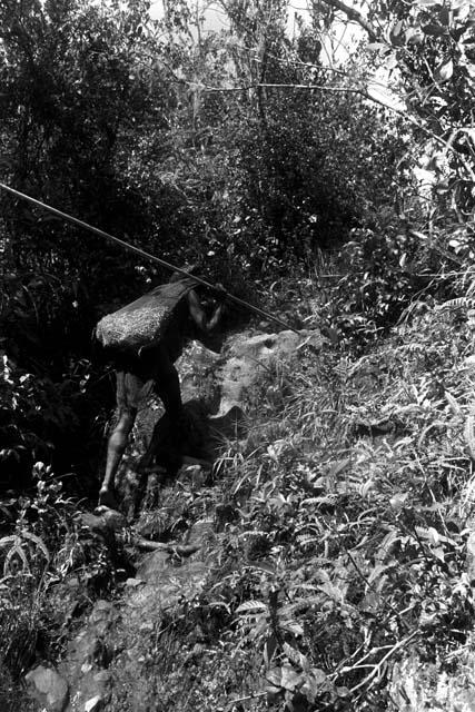 Woman with a load on the path to Lokoparek