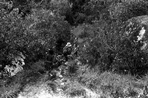 Young boys carrying expedition equipment on the path to Lokoparek