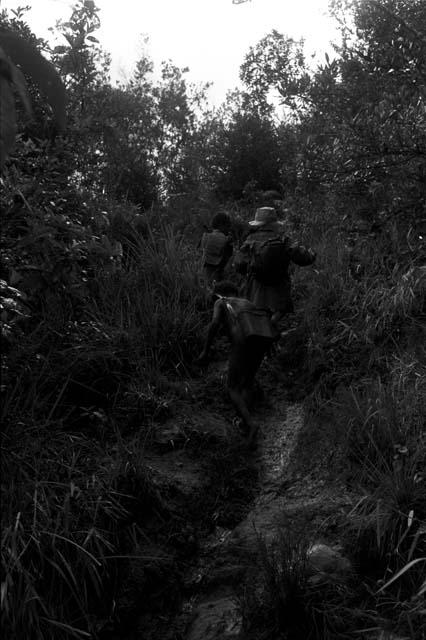 Young boys carrying expedition equipment on the path to Lokoparek