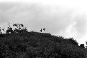 Figures standing on the hill behind Abukulmo