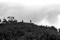 Figures standing on the hill behind Abukulmo