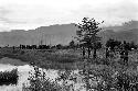 Warriors returning home past the pond on the Tokolik