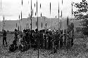 A group of warriors with their spears, waiting by the sien tree on the Tokolik