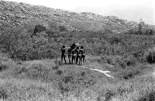 A man being carried home along the trail from Homoak to Wuperainma