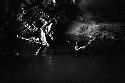 Men walking through water in a dark bat cave