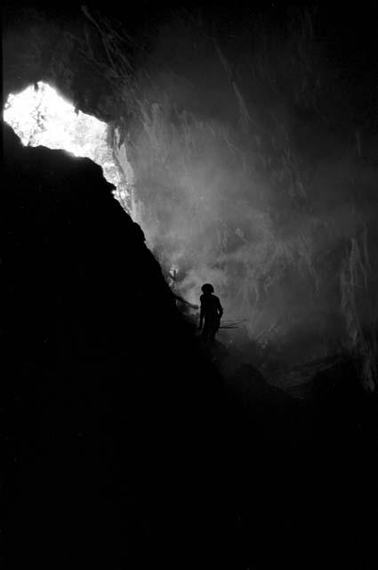 Men climbing out of a bat cave