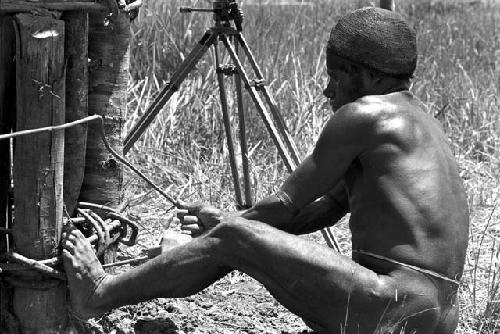 man tightening vines at the base of the kaio