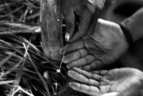 cleaning the man with a small feather wand