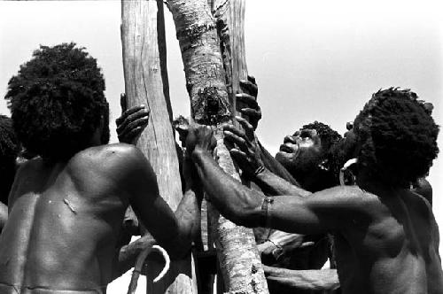 putting sticks in the ground around the central pole