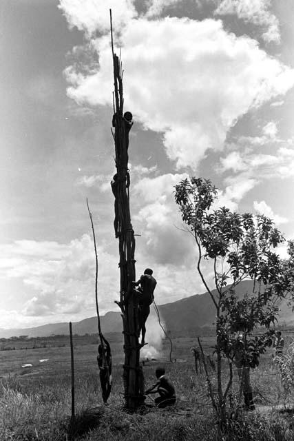 man on pole; man beneath it helping