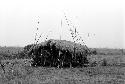 a group of men standing in the rain