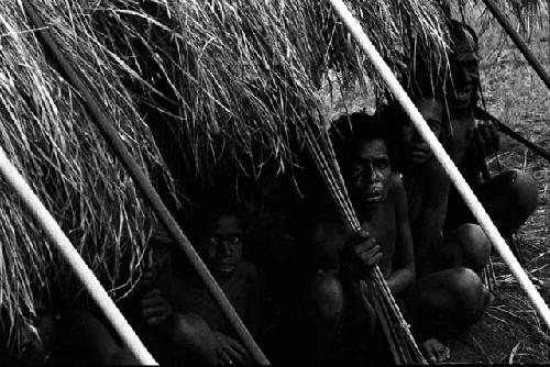 group of men crouched under an olea