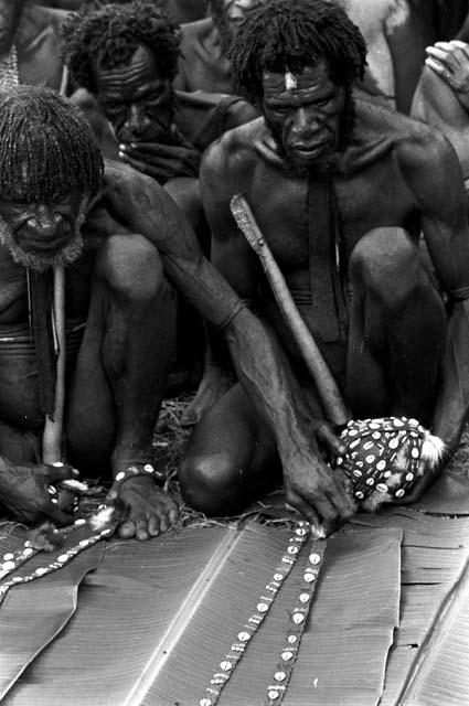 Cowrie shells being rolled up