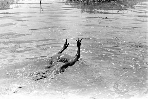 Boys swimming in a pool of water in the Alima sili's gardens