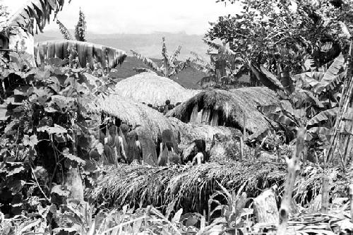 People entering Kibit Silimo sili