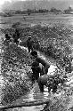 People working on the ditches in a garden