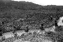 People working on the ditches in a garden