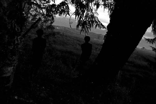 Boys silhouetted in the shade of a tree in Homoak