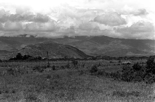 Distant shot of men under an oléa; kaio at left