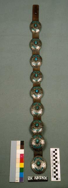 Concha belt of silver conchas set with turquoise and coral chipped inlay