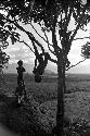 Children playing in a tree on the Anelerak