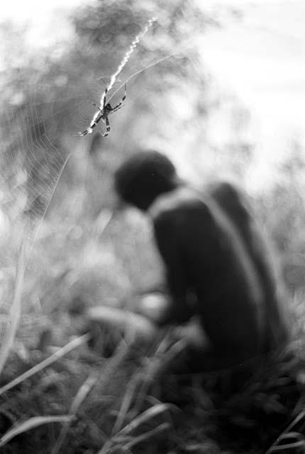 Spider and web in the foreground, man works on something in the background