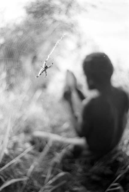 Spider and web in the foreground, man works on something in the background