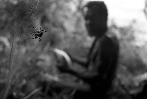 Spider and web in the foreground, man works on something in the background