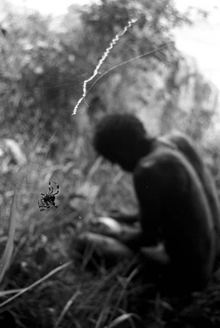 Spider and web in the foreground, man works on something in the background