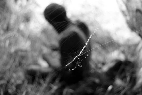 Spider and web in the foreground, man works on something in the background