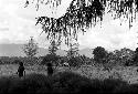 Women walking outside of a sien tree forest