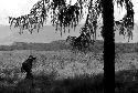 Woman walking outside of a sien tree forest