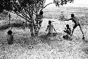 Boys playing under a munika tree on the Anelerak