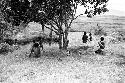 Boys playing under a munika tree on the Anelerak