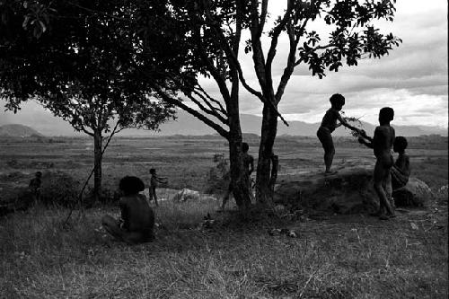 Boys playing under a munika tree on the Anelerak; Siobara visible in background