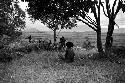 Boys playing under a munika tree on the Anelerak; Siobara visible in background