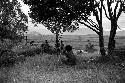 Boys playing under a munika tree on the Anelerak; Siobara visible in background