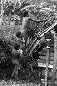 Children watch as a man tears apart an old hunu in Abukulmo