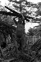 A woman carrying wood on her head while tearing apart an old hunu in Abukulmo