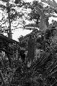 A woman carrying wood on her head while tearing apart an old hunu in Abukulmo