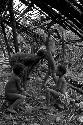 Tearing apart an old hunu in Abukulmo: children watch as Asikanilek works