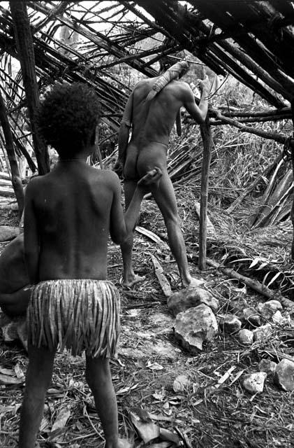 Tearing apart an old hunu in Abukulmo; children watch as Asikanilek works