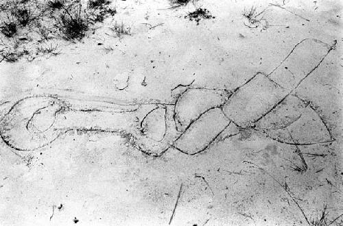 A drawing done with a stick in the sand